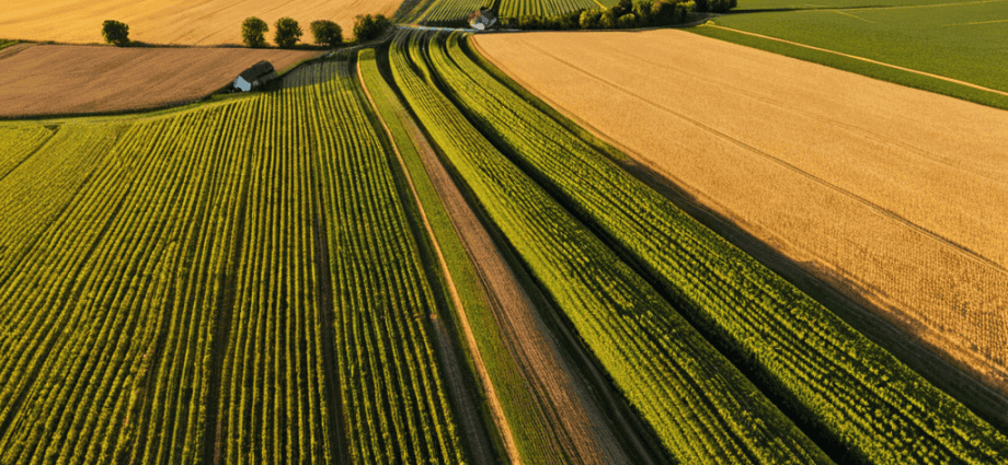 Farmland Investing Platforms concept image