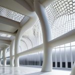 Biomimetic Structural Optimization growing form.